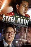 Steel Rain Cover